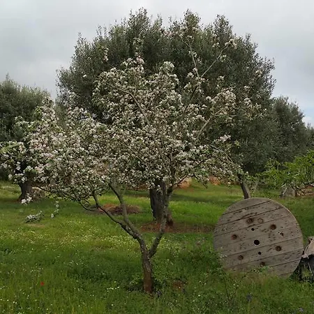 Aparthotel Chalet Degli Ulivi Porto Cesareo