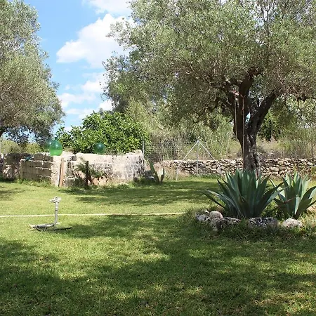 Chalet Degli Ulivi Porto Cesareo